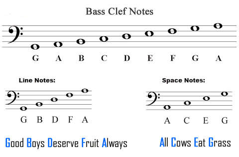 Bass Clef Notes