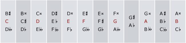 Music Terminology