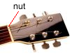 Guitar Nut