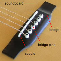 Guitar Saddle