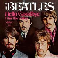 Hello Goodbye Single Cover