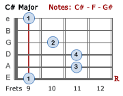 C# Major - 3rd position