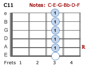 C11