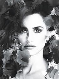 Spanish lady